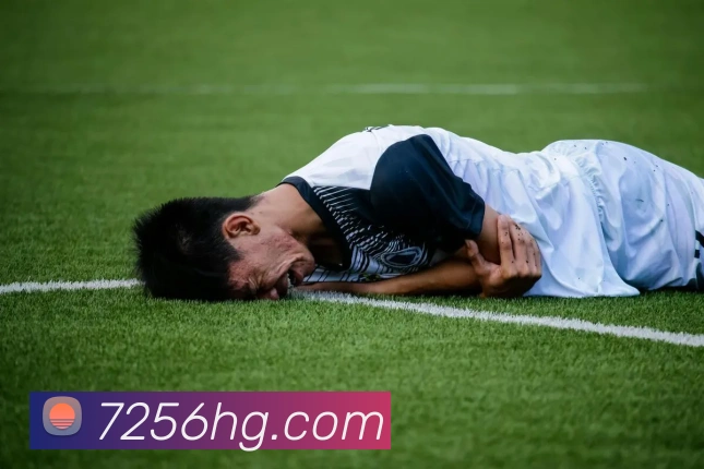 赛事专题整合